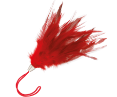 DARKNESS - PLUMA ESTIMULADORA ROJO 17CM DARKNESS - PLUMA ESTIMULADORA ROJO 17CM