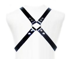 LEATHER BODY - BASIC HARNESS LEATHER BODY - BASIC HARNESS