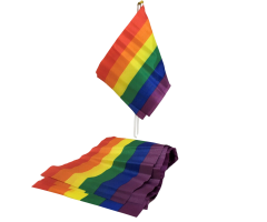 PRIDE - LGBT FLAG SMALL FLAG BANNER PRIDE - LGBT FLAG SMALL FLAG BANNER